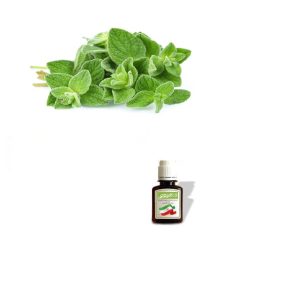 روغن آویشن کوهی