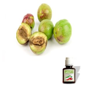 روغن هلیله سبز