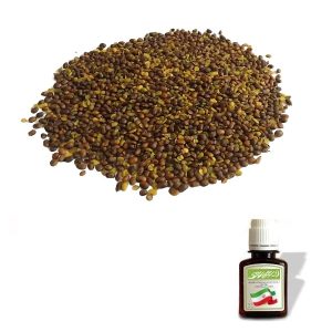 روغن بنه