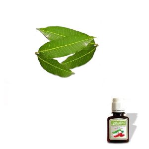 روغن برگ انبه