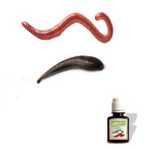 روغن خراطین ترکیبی زالو