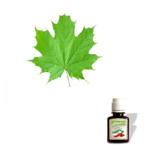روغن برگ چنار