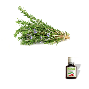 روغن اکلیل کوهی