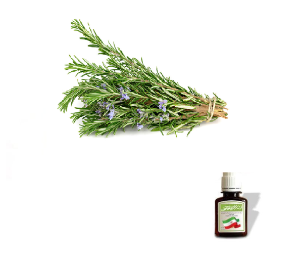 روغن اکلیل کوهی