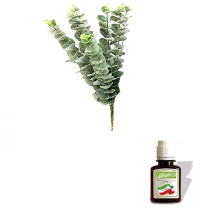 روغن اکالیپتوس پایه کنجد
