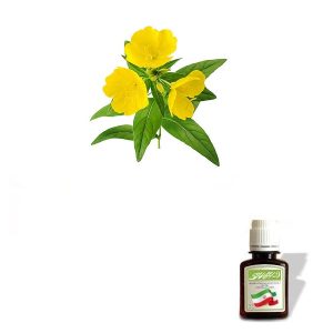 روغن گل مغربی