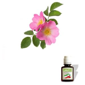 روغن گل نسترن