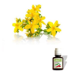 روغن گل هزار چشم