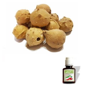 روغن مازو