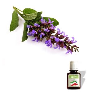 روغن مریم گلی