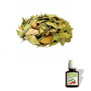 روغن مورد