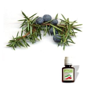 روغن میوه سرو کوهی
