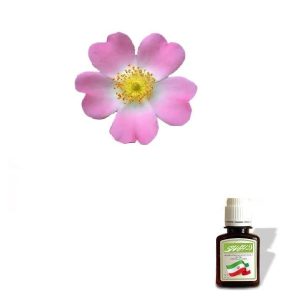 روغن نسترن