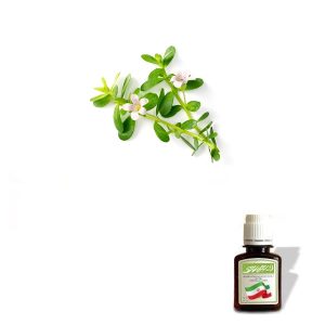 روغن براهمی