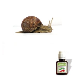 روغن بزاق حلزون