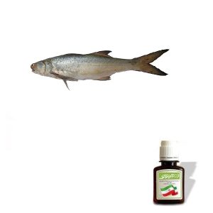 روغن ماهی
