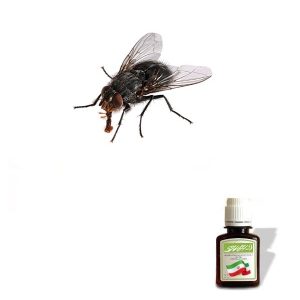 روغن مگس