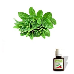 روغن سوسنبر