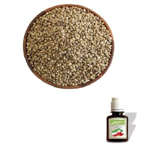 روغن شاهدانه