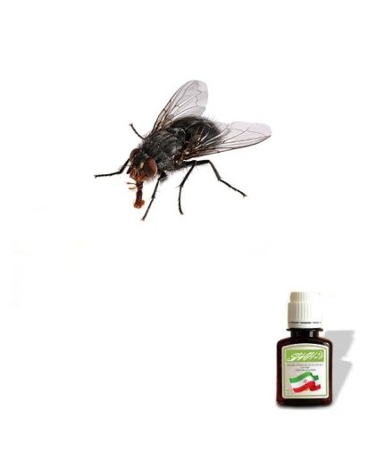 روغن مگس