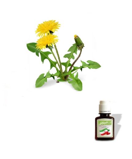 روغن برگ گل قاصدک
